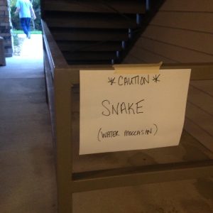 Jacksonville snake control