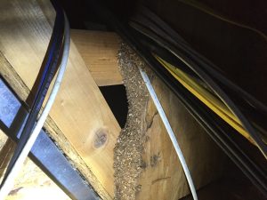 Jacksonville attic restoration