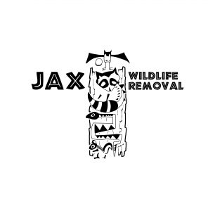 Jax Wildlife Removal